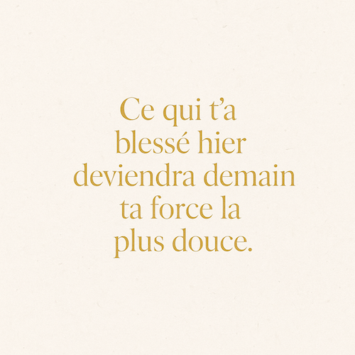 Citation : Parfois, il faut tout perdre pour enfin s’appartenir