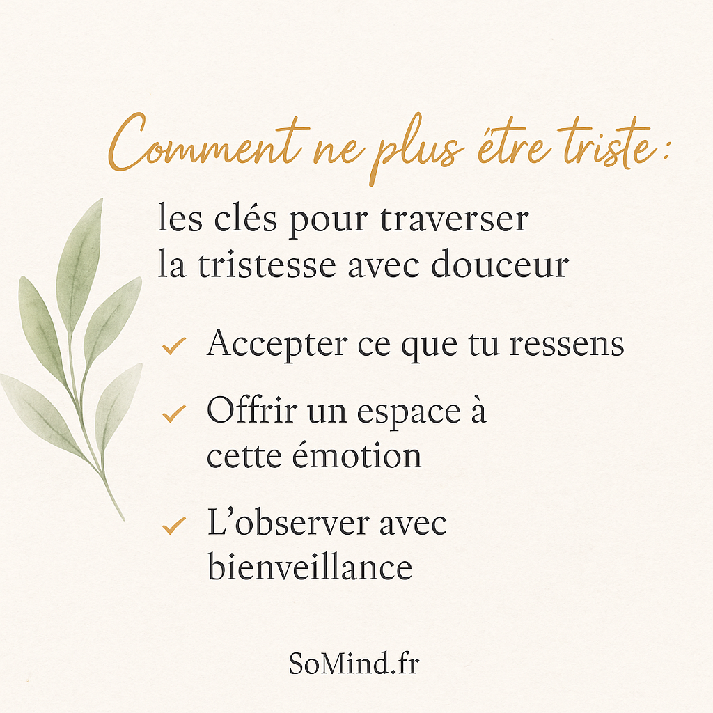 À retenir : traverser la tristesse avec tendresse